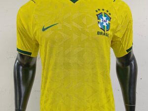 Brasil Local 2026 (Version Jugador 1.1)